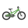 Scott Roxter 16 green/grey 22