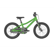 Scott Roxter 16 green/grey 22