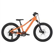 Scott Roxter 200 20" vibrant orange