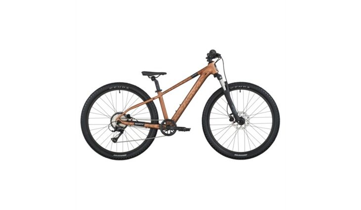 Scott Roxter 600 alloy brown